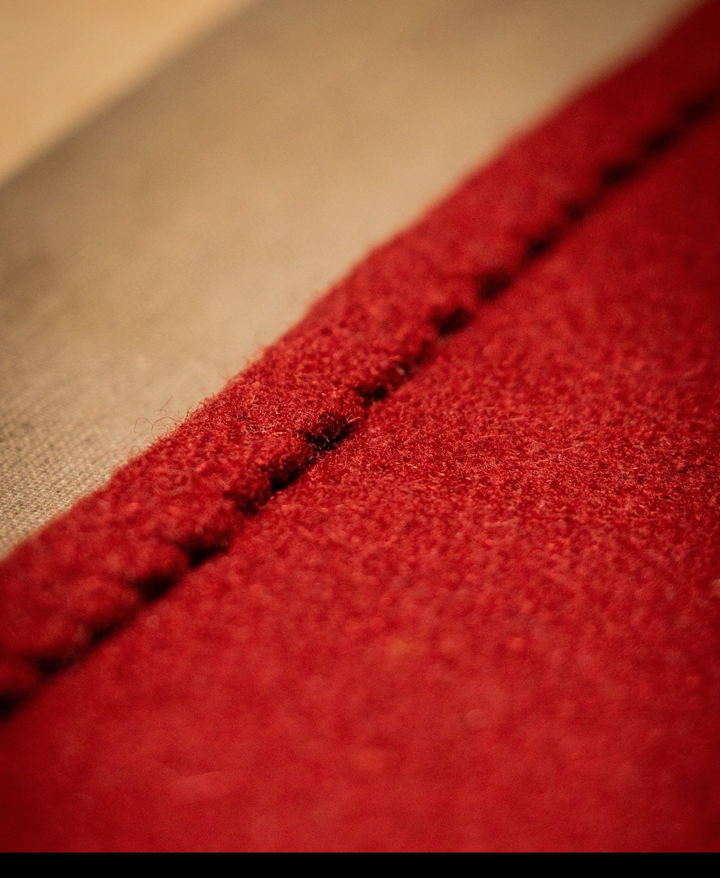 Early Medieval Thorsberg cloak