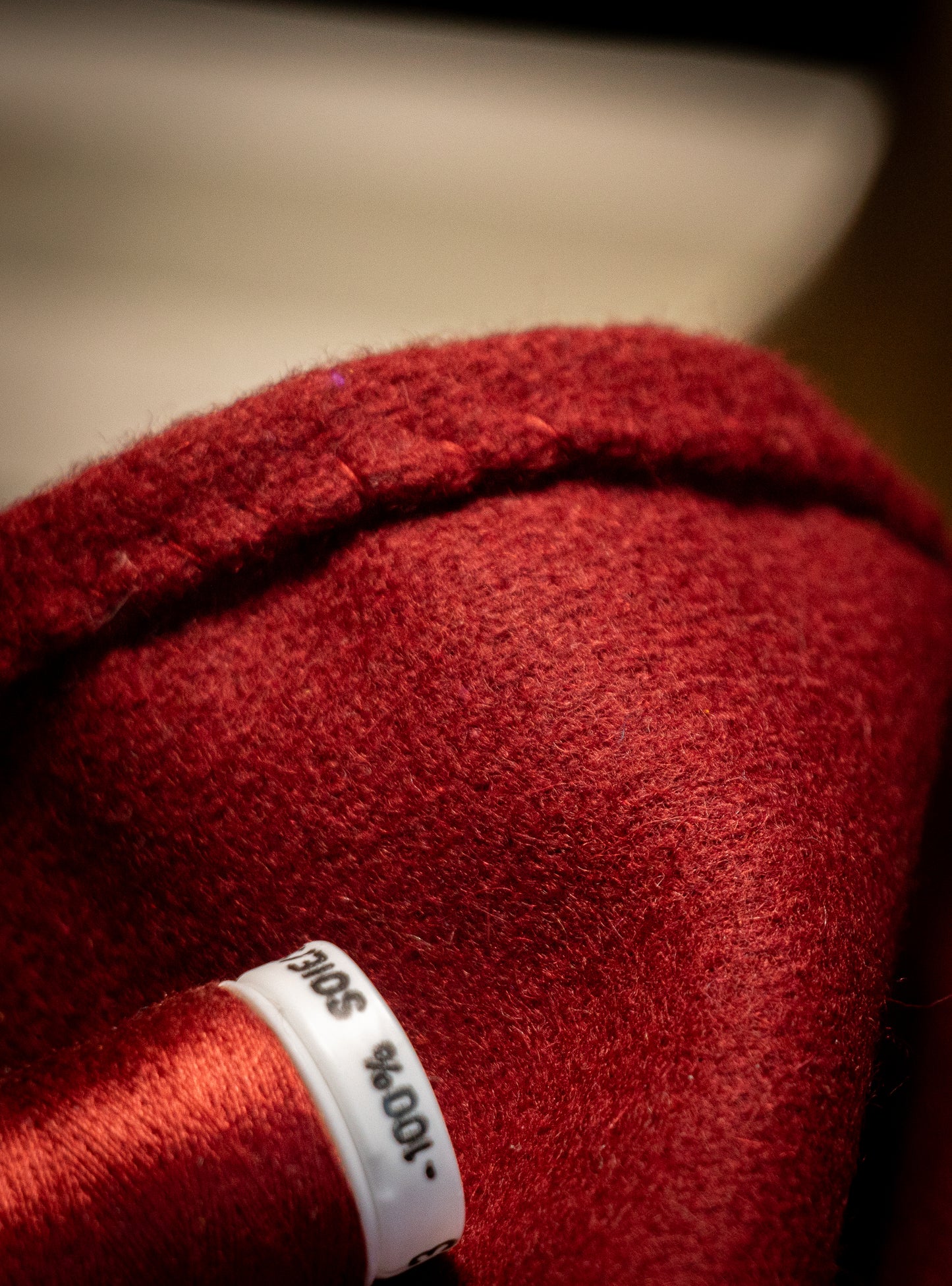 Early Medieval Thorsberg cloak