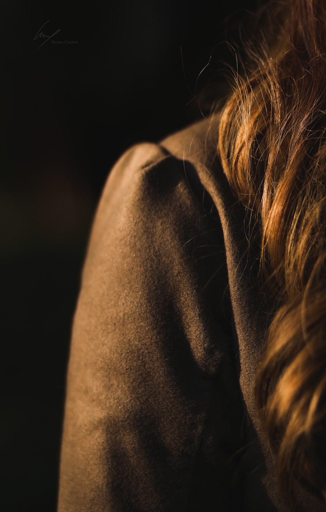 CLAIRE dress - 18th century dress