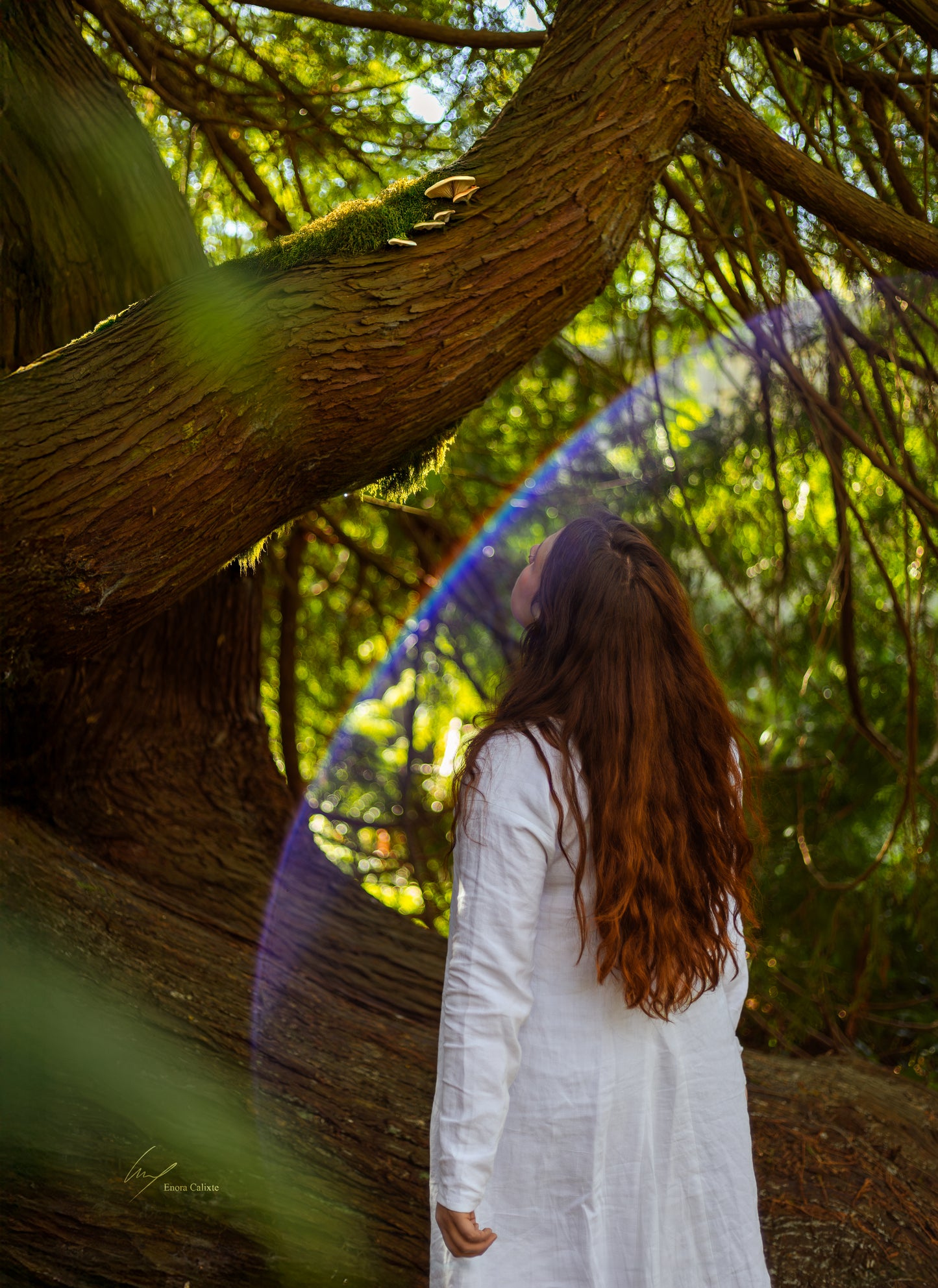Medieval Linen Dress